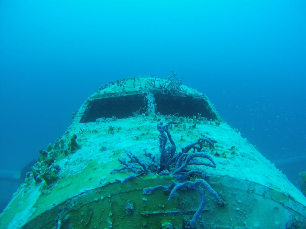 Diving in Aruba – Discover the Magical Underwater World